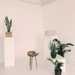 亚星官网