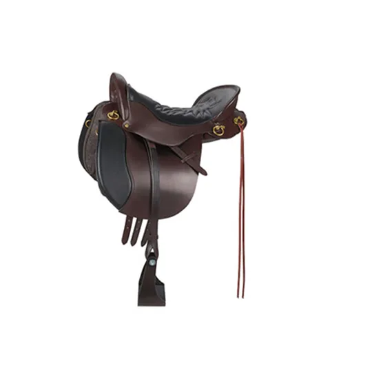 亚星官网