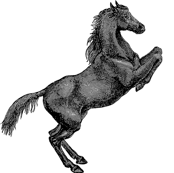 亚星官网
